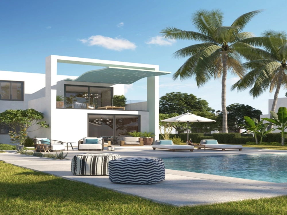 دي باي gallery image